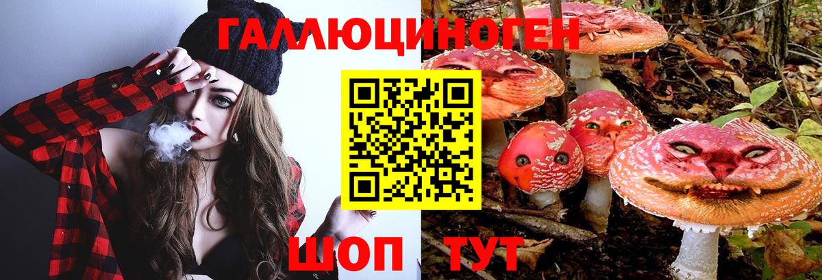 Псилоцибиновые грибы ЛСД  Вход с VPN  Галлюциногенные грибы Magic Shrooms  Коломна 